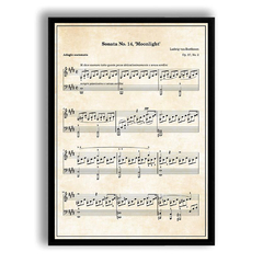 CUADRO SONATA MOONLIGHT