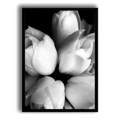 CUADRO TULIPANES BYN - comprar online