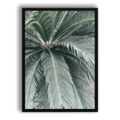 CUADRO ZOOM PALMERA