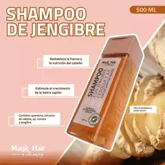 SHAMPOO CEBOLLA JENGIBRE Y AJÍ 500ML - comprar online