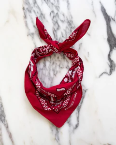 PAÑUELO LUXOR (8968) - comprar online