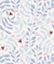 Papel de parede Folhas e joaninhas - Decoração infantil | Loja Printme