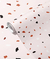 Papel de Parede Terrazzo rosê
