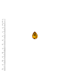 Aplique Chaton Gota Sextavado Dourado