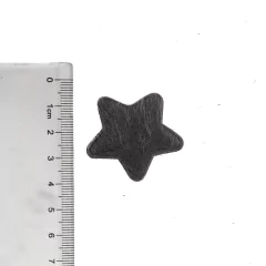 Aplique Estrela Pelinhos Cinza - 2 Unidades na internet