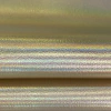 Lonita Floater Metal Ouro Holográfico