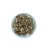 Aplique Búzios Dourado (17mm)