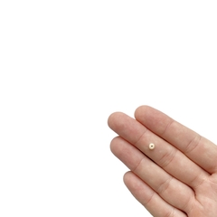 Miçanga Mini Bege Fosco Cintilante (Miçangão) - 50 gramas - comprar online