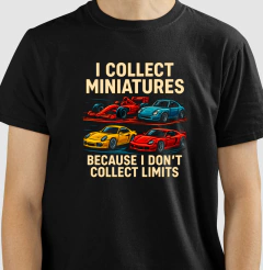 Camiseta - I collect miniatures