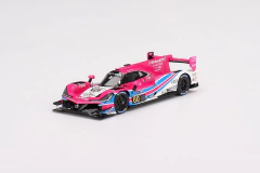 Miniatura Acura ARX-05 DPI #60 - H. Castroneves - Vencedor 24h Daytona 2022 - 1/43 TSM