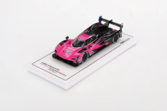 Miniatura Cadillac V-Series.R #01 - Vencedor Petit Le Mans 2024 - 1/43 TSM