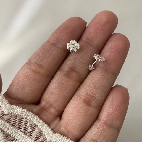 Abridores Plata PAR (cod 11582)
