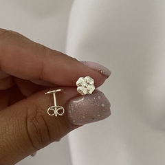 aros plata PAR (cod 12796)