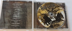 ICED EARTH - SOMETHING WICKED THIS WAY COMES - comprar online