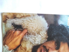 CAETAO VELOSO - CAETANO VELOSO - comprar online