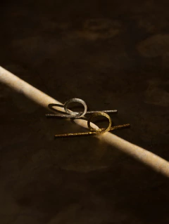 ANILLO FÉNIX VUELO en internet