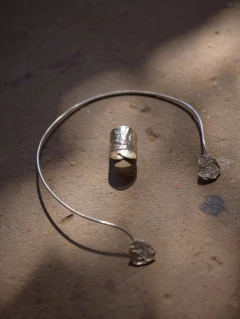 ANILLO CASANDRA en internet