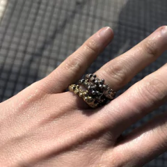 ANILLO MURIEL en internet