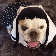 Wandinha na internet
