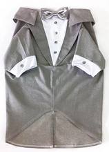 Terno para Pets cor Cinza