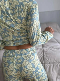 Pjm Aspen en internet