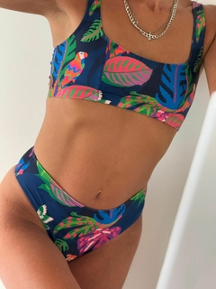 Bkn Tropical - tiro medio en internet
