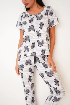 Pjm Beto en internet