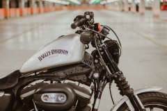 Elevador de Tanque Tank Lift Shark - Harley Davidson Sportster - Guerra Custom Design