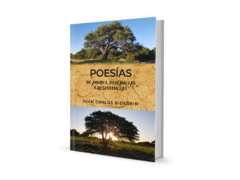 Poesías de amores, distancias y resistencias