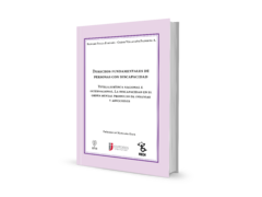 Derechos fundamentales de las personas con discapacidad