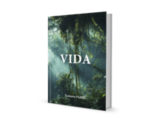 Vida