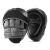 Focos Everlast - Powelock Focus Mitts
