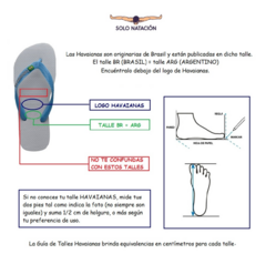 Imagen de OJOTAS HAVAIANAS ALOHA UNISEX ALURE (1802)