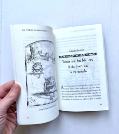Tony DiTerlizzi & Holly Black | Las Crónicas de Spiderwick. La piedra clarividente 2 en internet