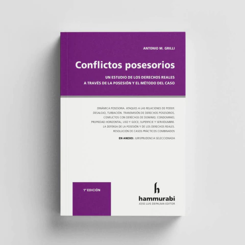 Grilli - Conflictos posesorios