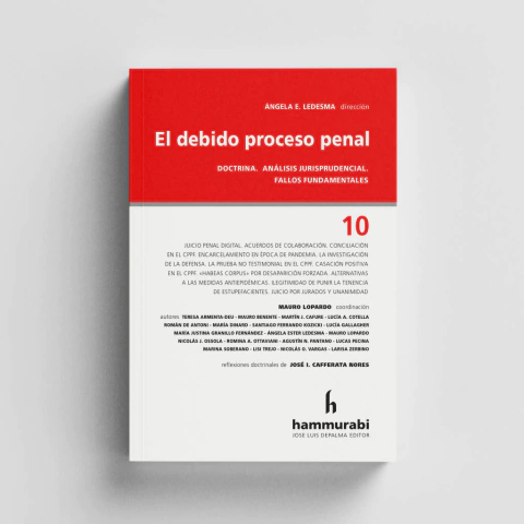 Ledesma - Debido proceso penal, 10