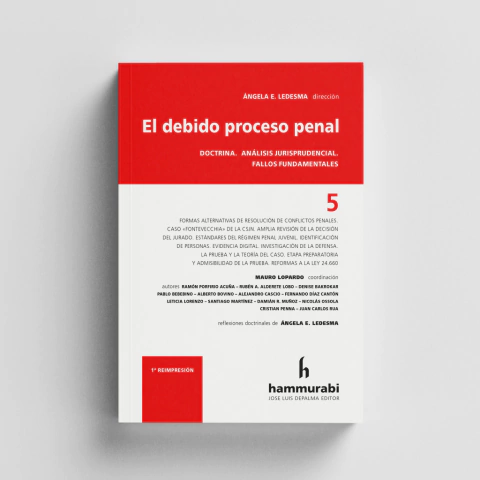 Ledesma - Debido proceso penal, 5