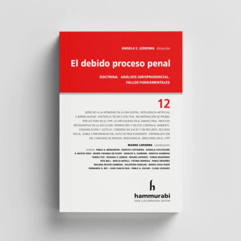 Ledesma - Debido proceso penal, 12