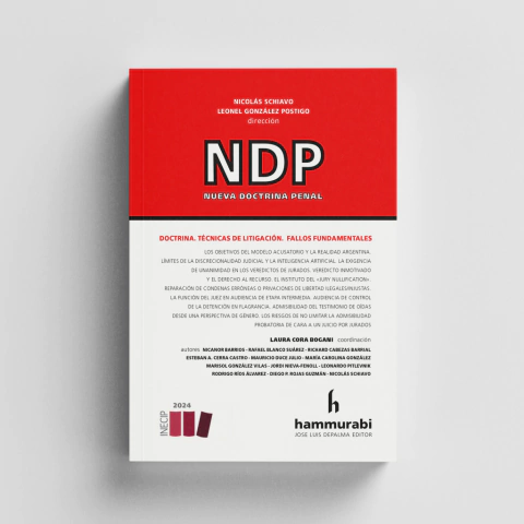 Schiavo - Nueva doctrina penal 2024