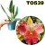 CATTLEYA AMAZING THAILAND ADULTA - comprar online