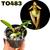 CORTE BULBOPHYLLUM LASIOCHILUM SEMI ALBA