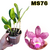CATTLEYA PINTALGADA LILÁS ADULTA - comprar online