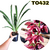CYMBIDIUM PENDENTE DOROTHY STOCKSTILL ADULTA