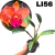CATTLEYA NOBILES THATA ADULTA