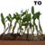 KIT DO VERÃO - 10 VARIEDADES DE ORQUÍDEAS DENDROBIUM COM VASO na internet