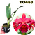 LC PUMPKIN FESTIVAL ADULTA COM AVARIAS - comprar online