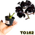 CATASETUM FDK AFTER DARK PEQUENININHA RAIZ NUA (LIQUIDAÇÃO) - comprar online