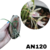 MINI TRICHOPILIA BRASILIENSIS ADULTA COM AVARIAS
