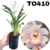 MINI CYMBIDIUM ROSA ADULTA - RAIZ NUA - COM AVARIAS