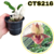 CATASETUM CATASANDRA FANFAIR ADULTA COM AVARIAS - CTS216 - comprar online